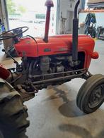 massey fergusson 35 diesel, Ophalen, Gebruikt, Massey Ferguson