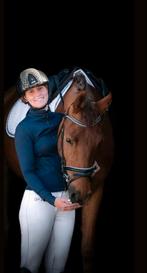 Zadelmakmaken paarden en pony's, Dieren en Toebehoren, Ophalen