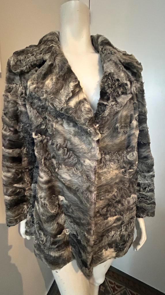 40-42 grijze astrakan bontjas, Kleding | Dames, Jassen | Winter, Zo goed als nieuw, Grijs, Ophalen of Verzenden