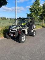 can am 800cc, Motoren, Particulier