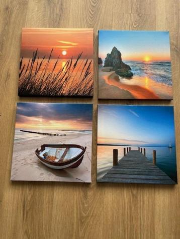 Frames met zeesfeer beschikbaar voor biedingen