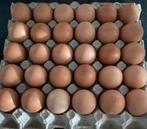 Verse eieren te koop, Dieren en Toebehoren
