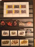 Slangen, Ophalen of Verzenden