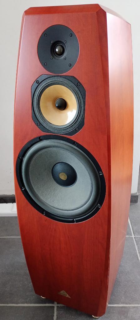 Actieve luidsprekers Acon Professional Divus, Audio, Tv en Foto, Luidsprekerboxen, Gebruikt, Overige typen, 120 watt of meer, Overige merken