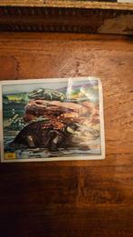 Panini 1992 italy 42, Ophalen of Verzenden, Gebruikt, Plaatje