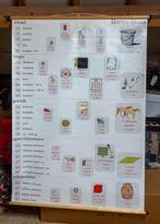 vintage schoolposters / educatieve wandkaarten, Huis en Inrichting, Woonaccessoires | Wanddecoraties, Ophalen of Verzenden, Gebruikt