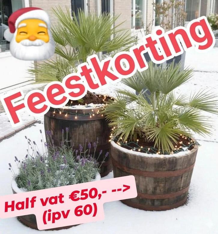 Eiken kuipen met feestelijke korting, Tuin en Terras, Bloempotten, Zo goed als nieuw, Ophalen