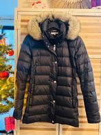 Dames jas Tommy Hilfiger nieuw, Enlèvement ou Envoi, Comme neuf