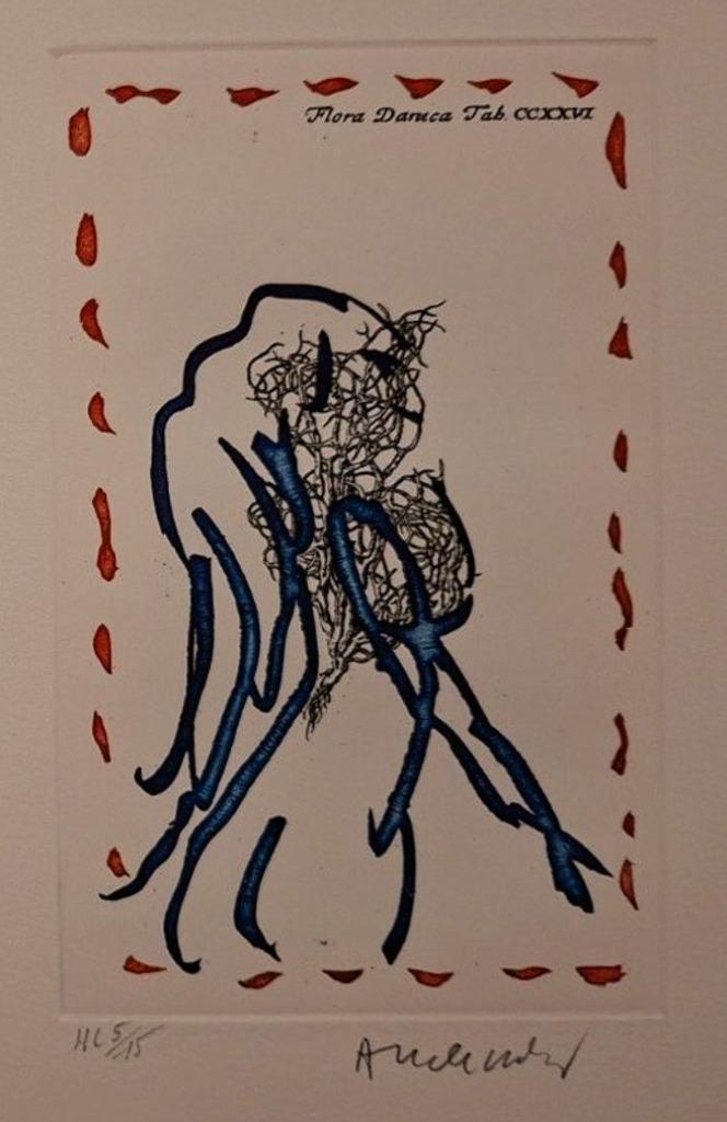 Pierre Alechinsky - Flores - kleurenets + boek, Antiek en Kunst, Kunst | Etsen en Gravures, Ophalen of Verzenden