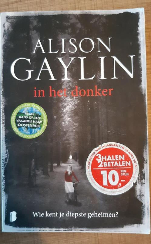 Alison Gaylin - In het donker, Livres, Thrillers, Comme neuf, Enlèvement ou Envoi