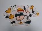 Mt 98 Beige sweater Snoopy, Peanuts, Kinderen en Baby's, Kinderkleding | Maat 98, Trui of Vest, Ophalen of Verzenden, Zo goed als nieuw