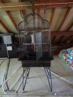 Grande cage robuste pour perroquets/oiseaux, comme neuve., Perroquet