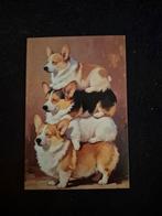 Postkaart corgi, Verzamelen, Postkaarten | Dieren, Ophalen of Verzenden