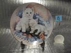 Assiettes en fine porcelaine (chats), Enlèvement ou Envoi