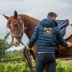 opleren van paarden, Dieren en Toebehoren, Paarden
