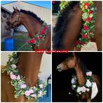 Bloemenkransen voor paarden, Ophalen, Nieuw