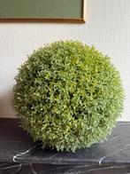 Decoratieve groene buxusbol, Ophalen of Verzenden, Zo goed als nieuw