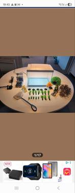 Aquarium voor warm tropische vissen