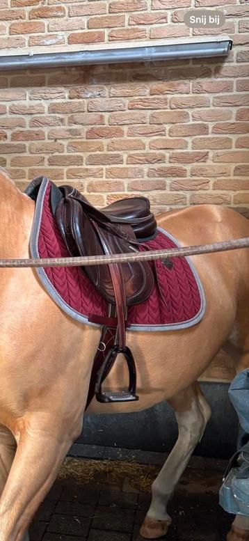 Kentucky dekje + oornetje maat Full beschikbaar voor biedingen
