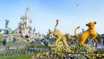 CHERCHE Livres Parcs Disneyland/Walt Disney/Univers Disney