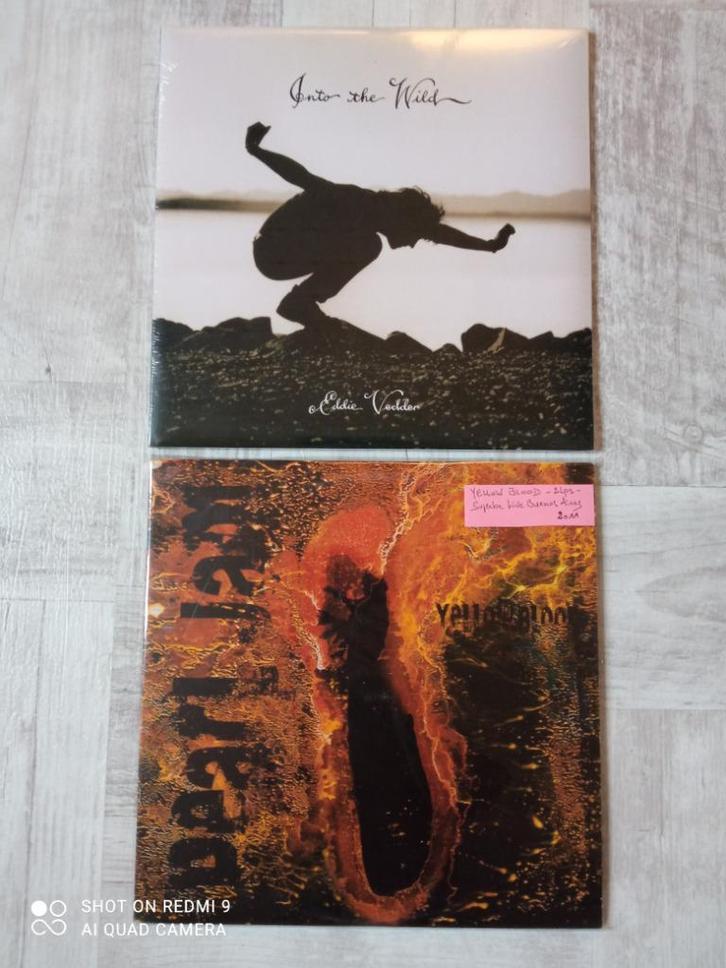 SIN89/Pearl Jam/Foo Fighters/Nin/Nirvana/Placebo/, Cd's en Dvd's, Vinyl | Overige Vinyl, Zo goed als nieuw, 12 inch, Ophalen of Verzenden