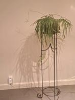 Blormenstaander met plant, Ophalen