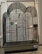Vogelkooi met toebehoren, Dieren en Toebehoren, Vogels | Hokken en Kooien, Ophalen of Verzenden, Vogelkooi
