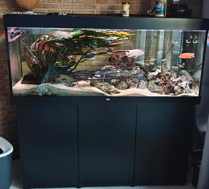Juwel rio 450 zwart met meubel, Dieren en Toebehoren, Vissen | Aquaria en Toebehoren, Gebruikt, Ophalen