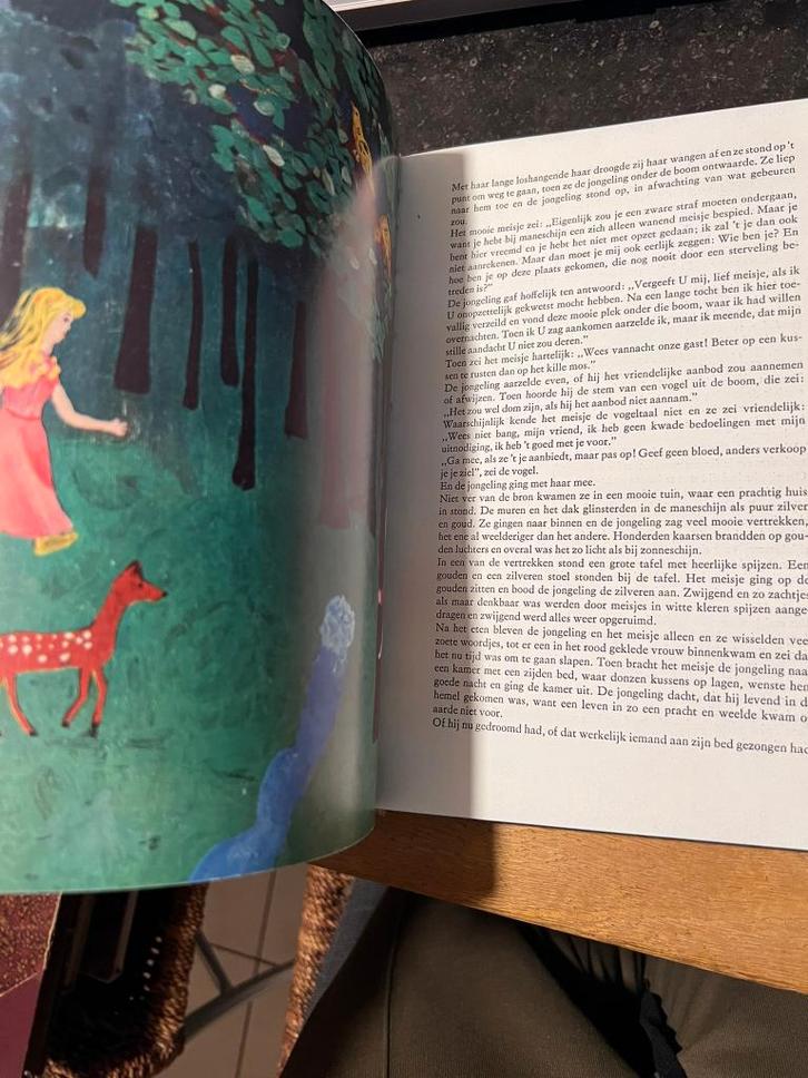 De Glazen berg, Estische sprookjes (24 afbeln door kinderen), Boeken, Sprookjes en Fabels, Gelezen, Ophalen of Verzenden