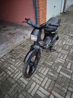 Honda wallaroo b klasse, Enlèvement