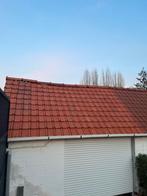 Dakpannen, Doe-het-zelf en Bouw, Dakpannen en Dakbedekking, Ophalen, Gebruikt, Dakpannen