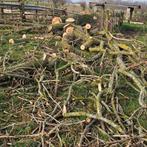 Boom te Koop, Ophalen