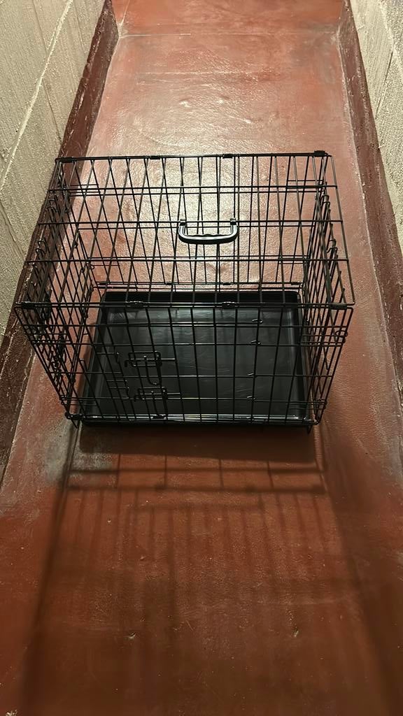 Honden bench, Dieren en Toebehoren, Hondenhokken, Ophalen, Zo goed als nieuw