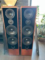 Canton Ergo 91DC luidsprekers, fantastisch geluid, Audio, Tv en Foto, Ophalen, Zo goed als nieuw