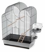 Vogelkooi eliza, Duvo, Duvo, Nieuw, Duvo