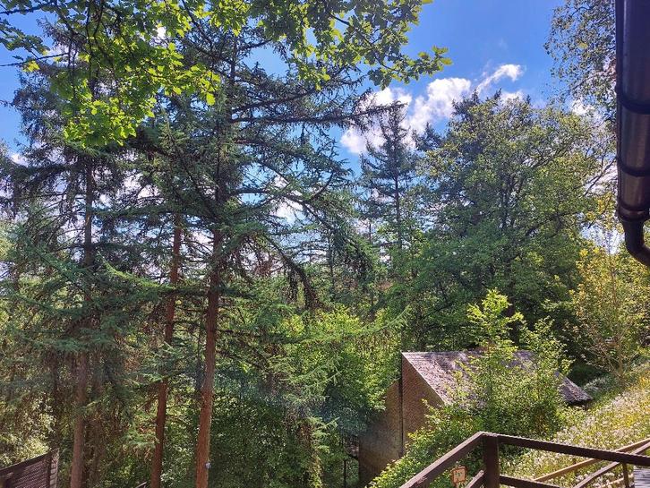 Duplex huisje te koop in Blaimont - Hastiere, Immo, Huizen en Appartementen te koop, Provincie Namen, 1500 m² of meer, Twee onder één kap