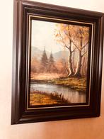 Mooi schilderij rivier mer bos, Ophalen