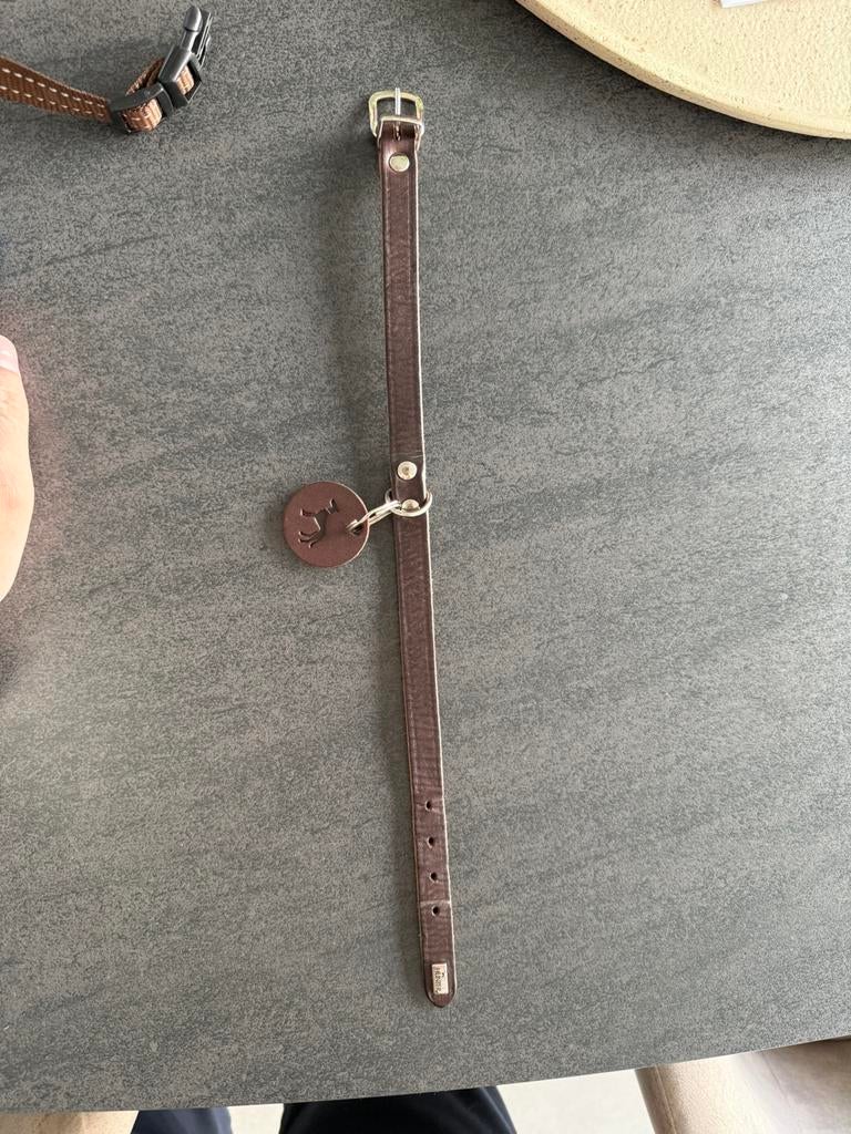 Hondenhalsband, Animaux & Accessoires, Colliers & Médailles pour chiens, Enlèvement, Utilisé