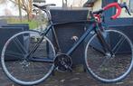 Carbon racefiets PROVEX, Campa Chorus, 53 (m/v), 53 à 57 cm, Enlèvement, 15 à 20 vitesses