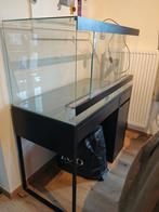 Terrarium met meubel, Overige soorten, Met terrarium