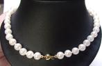 Nieuw parelcollier, 45.5 cm, 29.20 gr, 14 karaat gouden slot, Bijoux, Sacs & Beauté, Colliers, Neuf, Or, Avec pierre précieuse