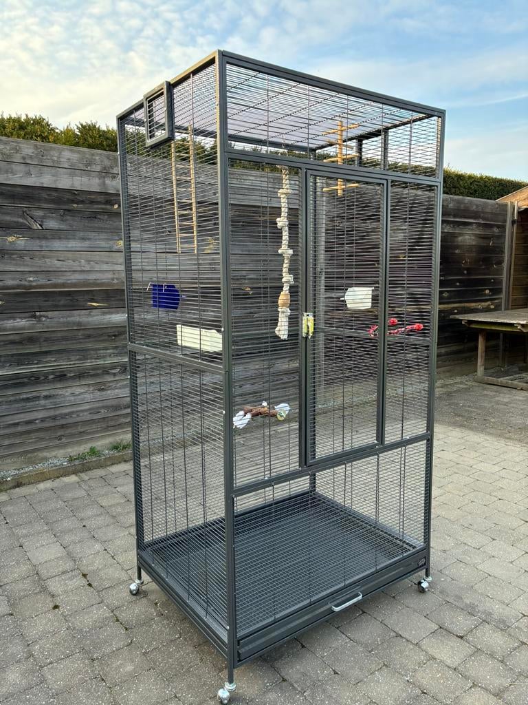 Cage pour perroquets et perruches, Enlèvement, Utilisé