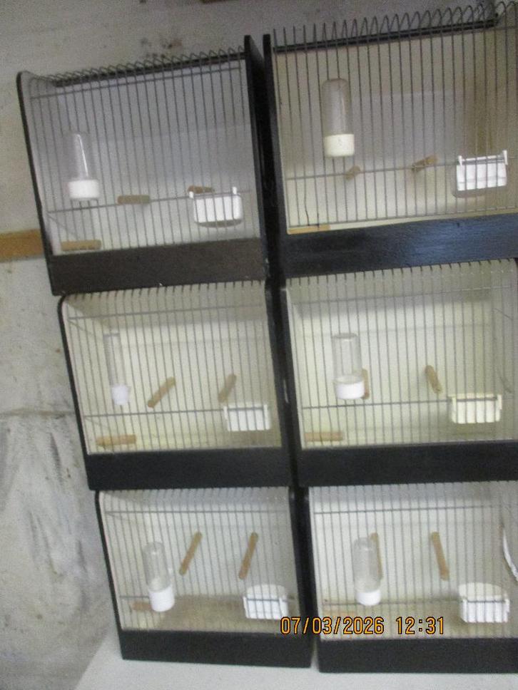 28T.T, KOOIEN. z.g.a.n., Dieren en Toebehoren, Vogels | Toebehoren, Nieuw, Kooi-accessoires, Ophalen