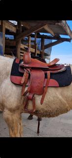 Selle western, Enlèvement, Western