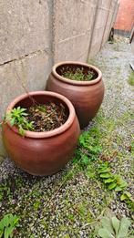 différents types de grands pots de fleurs, Enlèvement