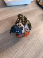 Jonge Lori van de blauwe bergen