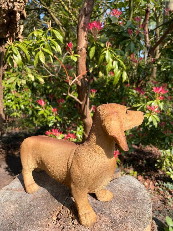 Image teckel, teckel, chien, jardin, pelouse 30 cm, Jardin & Terrasse, Statues de jardin, Neuf, Animal, Synthétique, Enlèvement ou Envoi