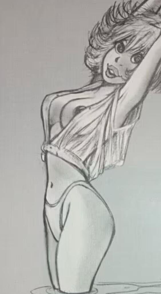 Walthery Natacha ex libris sérigraphie 22,2 x 32,2 Vers 1999, Livres, BD, Comme neuf, Une BD, Enlèvement