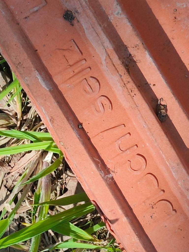 Dakpannen gratis, Ophalen, Zo goed als nieuw, Dakpannen