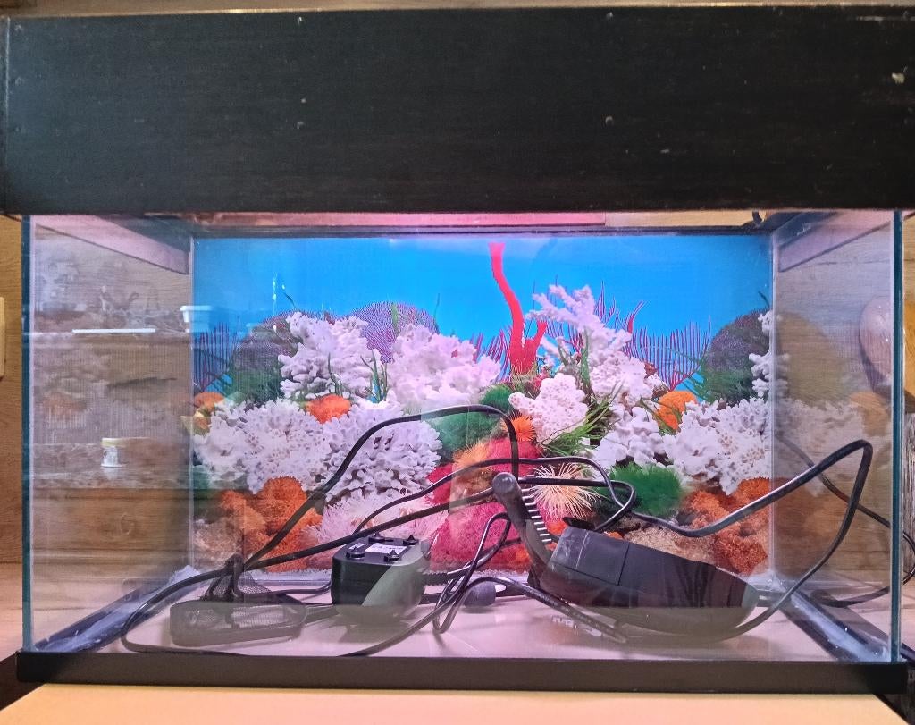 Aquarium, Ophalen, Pomp, Gebruikt, Leeg aquarium